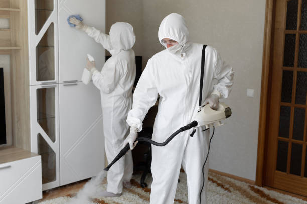 24/7 Emergency Odor Removal experts in Springfield, GA