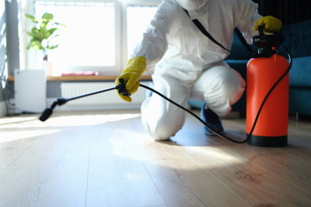 Reliable Odor Removal contractor in Springfield, GA by Dulley Family Biohazard Services